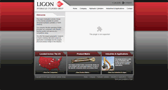 Desktop Screenshot of hydrauliccylindergroup.com